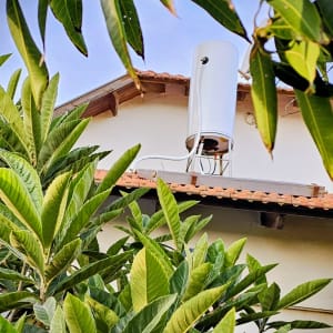 דוד שמש מותקן על גג בית עם עלים ירוקים מסביב