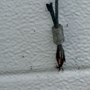 כבל מתכת קרוע על רקע קיר לבן