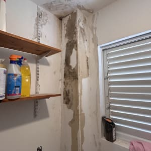 קיר ותקרה עם קילופי צבע ונזקי רטיבות ועובש לפני צביעה