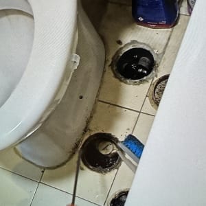 אסלה, מברג, חור ברצפה, מברשת כחולה