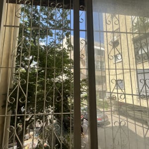 חלון עם סורגים מלוכלכים וכתמי אבק