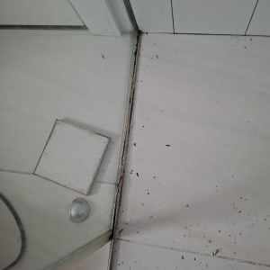 פינה של מקלחת עם איטום לקוי ולכלוך