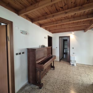 עבודות צבע וטיח