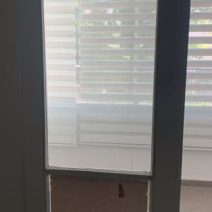 דלת זכוכית עם תריסים ברקע