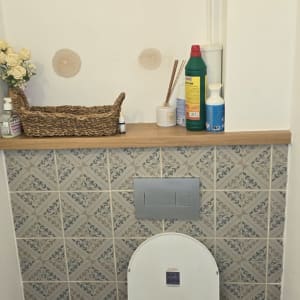 מוצרי ניקוי ומברשת אסלה בחדר שירותים