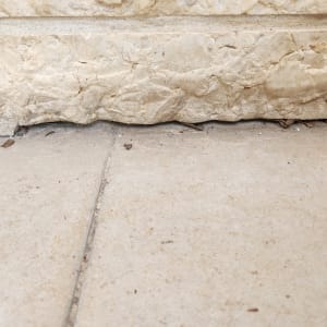 סדק בין קיר אבן לרצפת בטון עם עלים יבשים