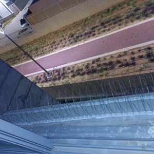 דוקרנים למניעת יונים על אדן חלון