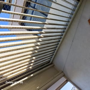 רשת יונים מותקנת על מרפסת בניין