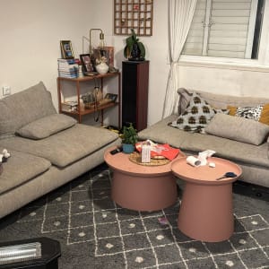 סלון עם ספות אפורות, שולחנות ורודים וצמח ירוק