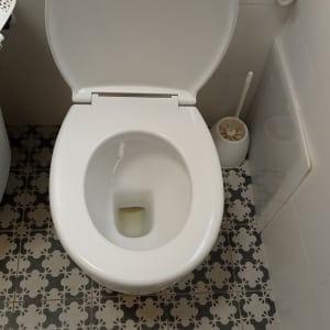 אסלה פתוחה עם מברשת ניקוי בצד