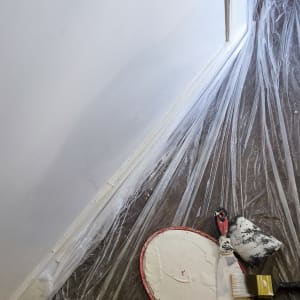 מברשת צבע, שפכטל וצבע על יריעת פלסטיק