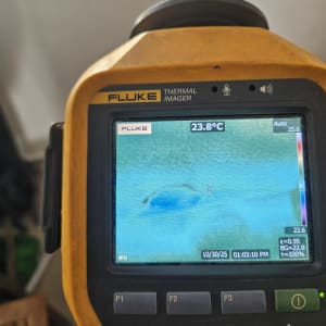 מד חום תרמי מציג טמפרטורה של 23.8 מעלות צלזיוס