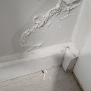 קיר עם קילופי צבע ונזקי רטיבות בפינה