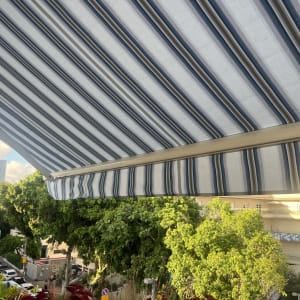 סוכך זרועות מעל רחוב עם עצים ומכוניות