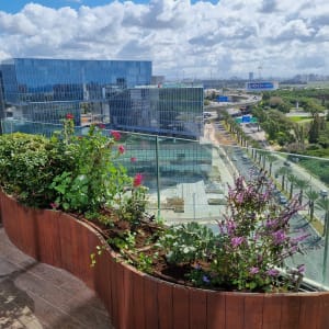 עציצים עם פרחים צבעוניים במרפסת