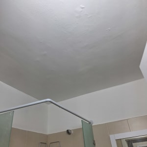 תקרת חדר אמבטיה עם תיקוני טיח