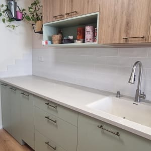 מטבח משופץ עם כיור וברז מודרניים, ארונות עץ וצמחים תלויים