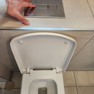 יד לוחצת על כפתור הדחה בשירותים