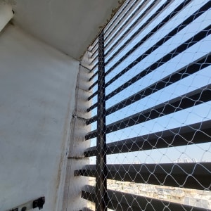 רשת מתכת מותקנת על חלון למניעת כניסת יונים