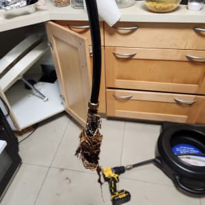 כלי עבודה לניקוי צנרת במטבח עם שורשים