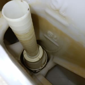 חלק פנימי של מיכל הדחה בשירותים