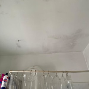 תקרה עם כתמי רטיבות ומקלחת עם וילון פלסטיק