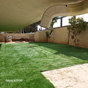 דשא ירוק ועצים קטנים בגינה