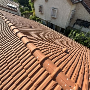 רעפים חומים על גג עם קו רכס מרכזי