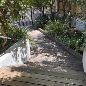 שביל עץ בגינה עם צמחייה ירוקה מסביב