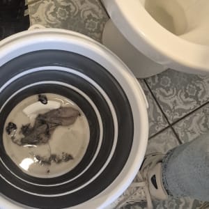 דלי עם מים ולכלוך ליד אסלה על רצפה מעוצבת