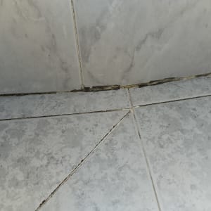 רצפת אריחים עם סימני רטיבות ועובש בפינות