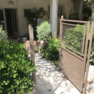 שער מתכת חום פתוח בין שיחים ירוקים