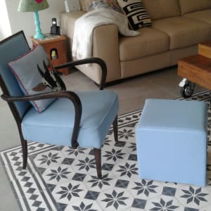 כורסה מרופדת וכרית עם הדפס כלב