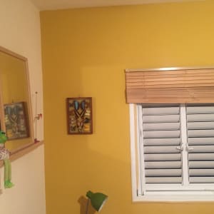 תמונה של פרפרים ממוסגרת על קיר צהוב