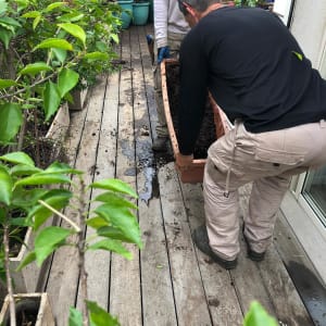 שני אנשים מרימים עציץ עם אדמה על דק עץ