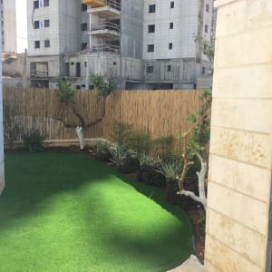 דשא סינתטי, עצים ושיחים בגינה קטנה