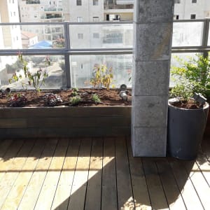 צמחים ופרחים באדניות על מרפסת עץ