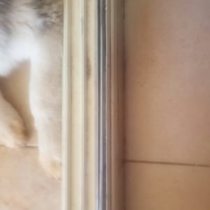 מסילה של תריס עם חלק מפרווה של חיה