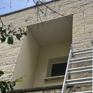 סולם ליד חלון עם דוקרנים למניעת יונים