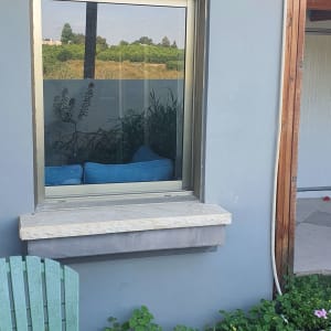 חלון זכוכית עם השתקפות של צמחייה וכריות כחולות