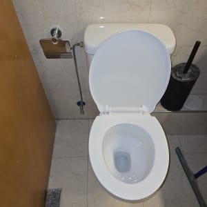 אסלה פתוחה עם מברשת ניקוי בצד