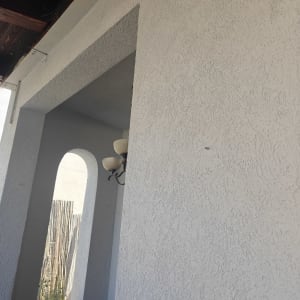 קיר חיצוני עם חלון וקישוטים