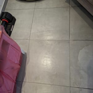 רצפה עם אריחים, מיטת כלב וציוד כושר