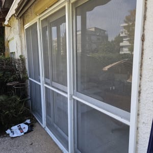 תריסים לבנים עם רשתות על חלונות זכוכית