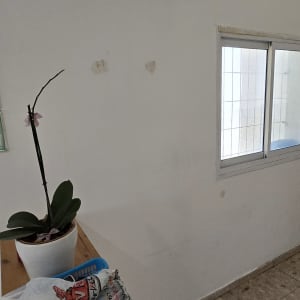 קיר לבן עם סימני תיקון, עציץ על שולחן עץ