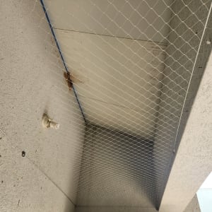 רשת למניעת כניסת יונים מותקנת בתקרה