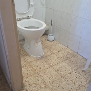 תמונה של שירותים עם אסלה ומברשת ניקוי