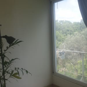 חדר עם חלון גדול, צמח וילון כחול