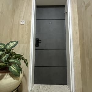 דלת אפורה עם עציץ ליד קיר בהיר