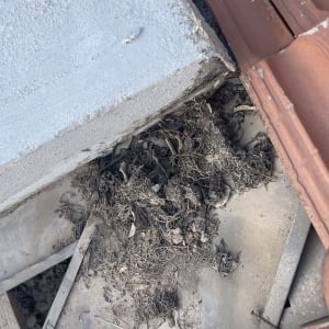 גג עם רעפים אדומים ולכלוך בין הרעפים